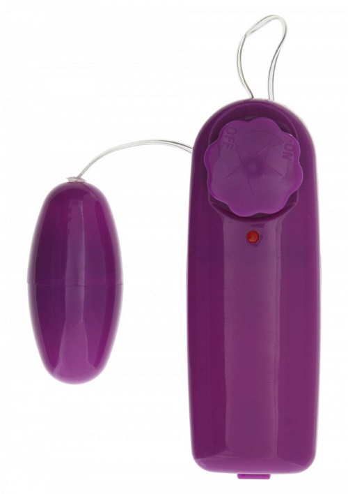 Fantastic Sex Toy Kit