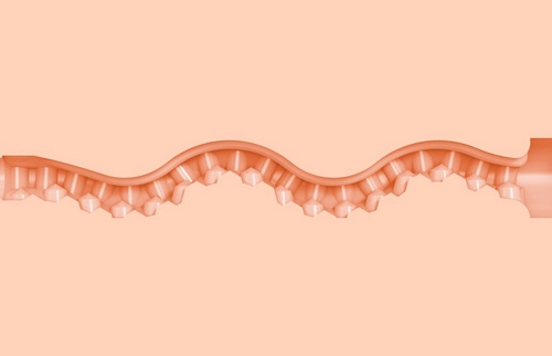 Fleshlight Girls Maitland Ward Meets World Tight Chicks