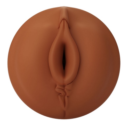 Autoblow A.I. Vagina Sleeve