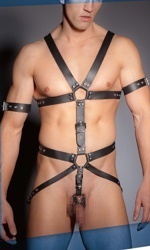 Men's Harness